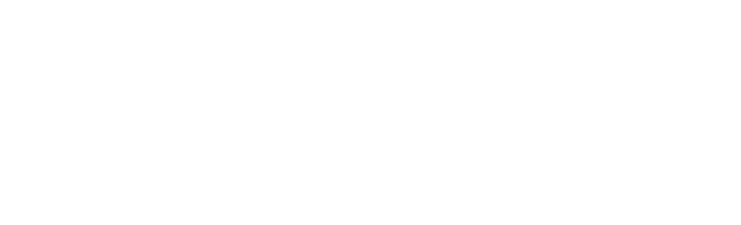 SDV logo