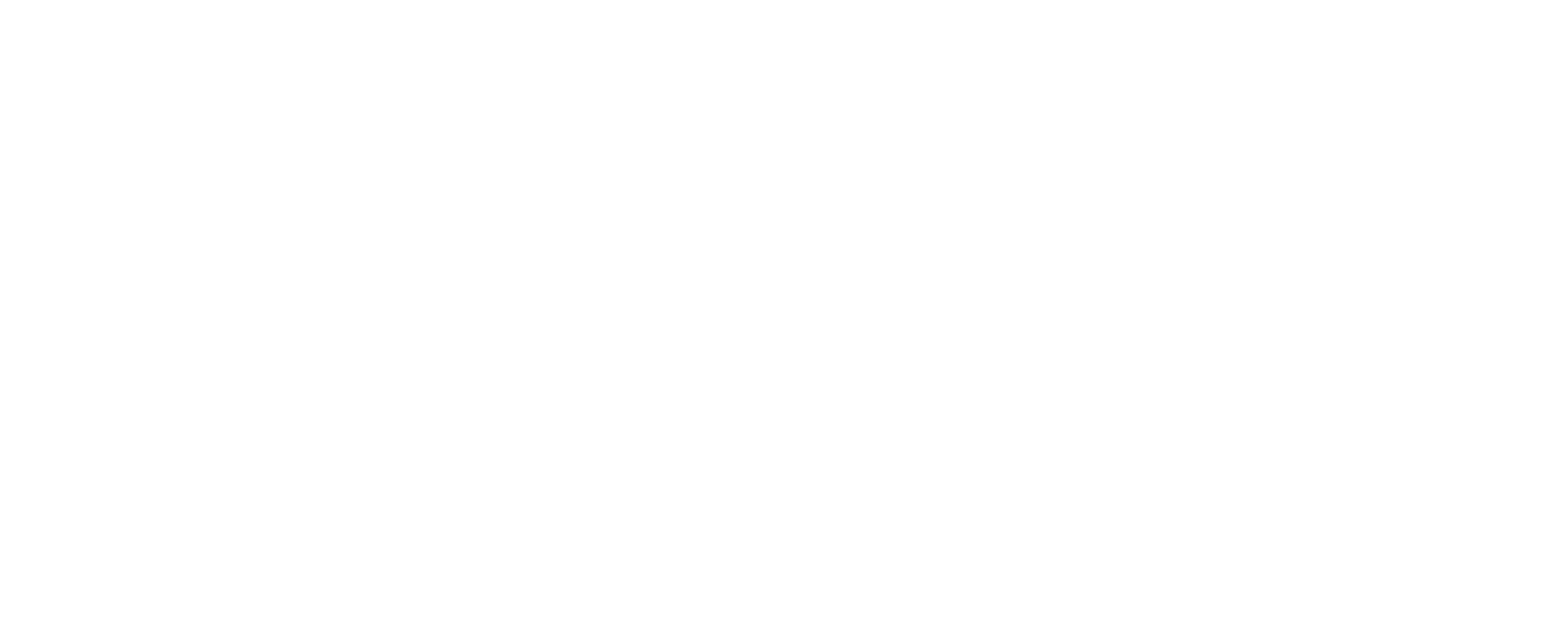 Startup Verband logo